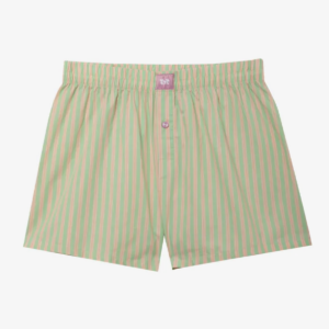 трусы boxer shorts tea green/sunglow