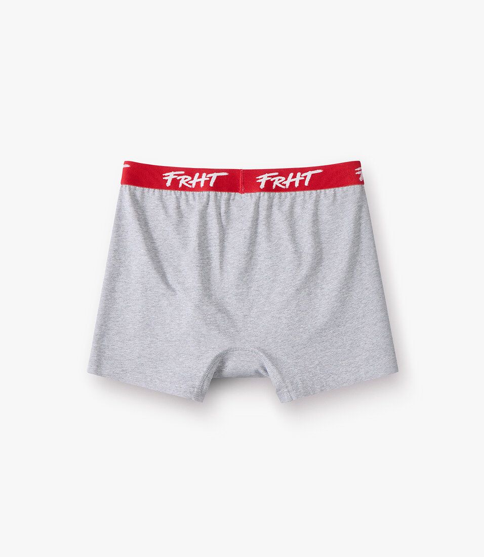 Боксеры FRHT Box Logo (Melange) — изображение 2